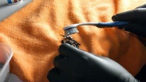 Strip Paint off Miniatures Cheap and Easy - A How-To Guide - FauxHammer