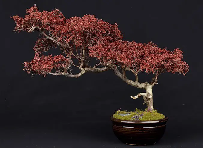 How to Make Natural Armature Trees - Complete