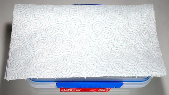 How to make a Wet Palette - Step 1A Tissue or Sponge