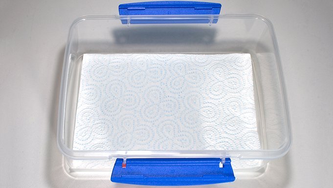 How to make a Wet Palette - Step 1B Cut to Size