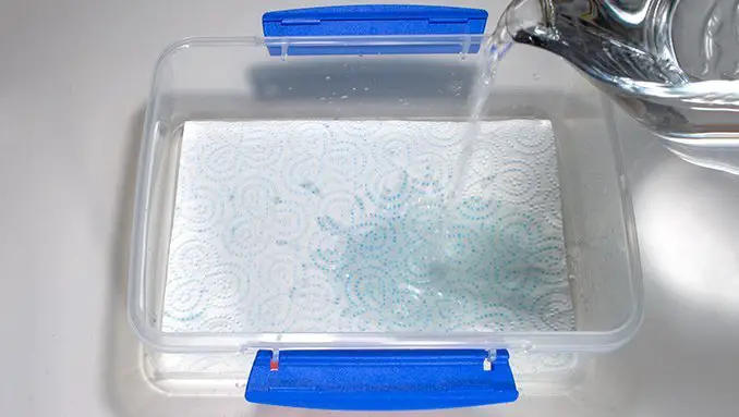 How to make a Wet Palette - Step 2A Pour Water