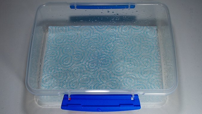 How to make a Wet Palette? Use the Citadel Plastic Tray! 