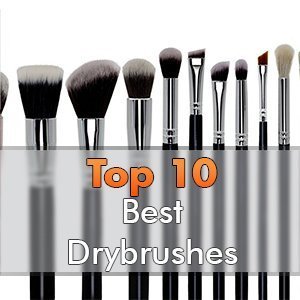 Rosemary & Co Model Dry Brush Set