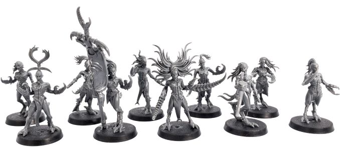 Shadow and Pain Box Set Review Daemonettes