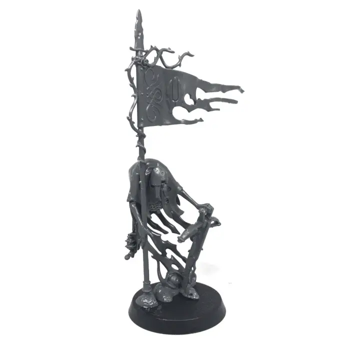 Warhammer Age of Sigmar Arena of Shades Review Craventhrone Guard Banner Bearer (2)