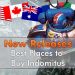New Releases - Best place to Buy Warhammer Indomitusjpg